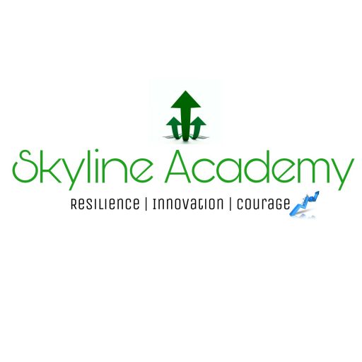 Skyline Futuristic Academy